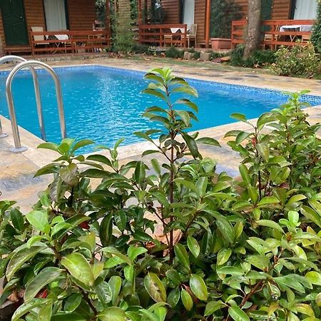 Tatil Keyfi Motel Cocaeli Exterior foto
